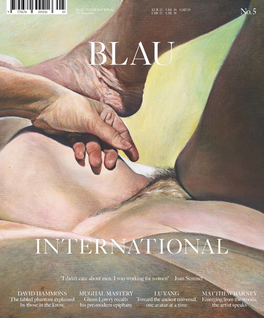 Blau International No. 5 – Joan Semmel Cover