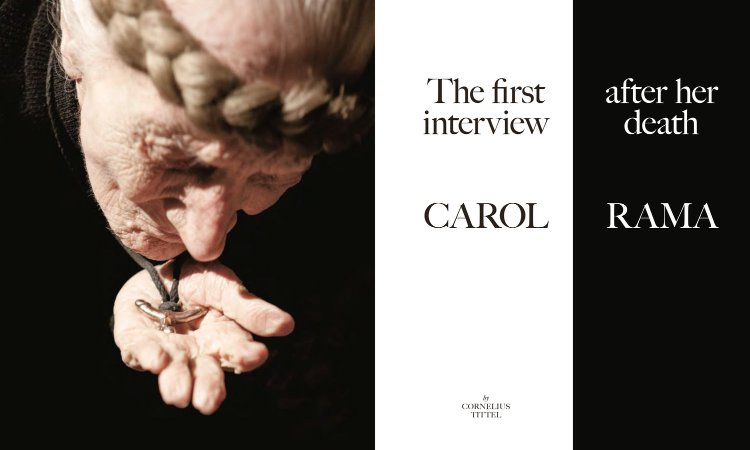 Blau International No. 1 – Carroll Dunham Cover